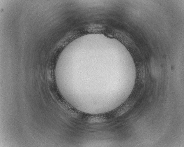 X0000070430755200606302126