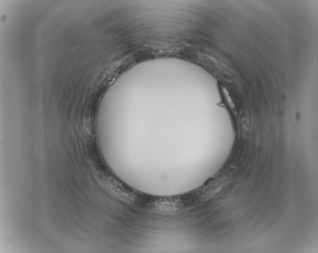 X0000070430756200606302126