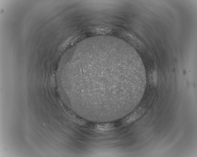 X0000070430757200606302126