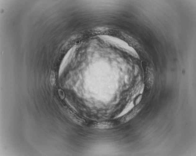 X0000070430758200606302126