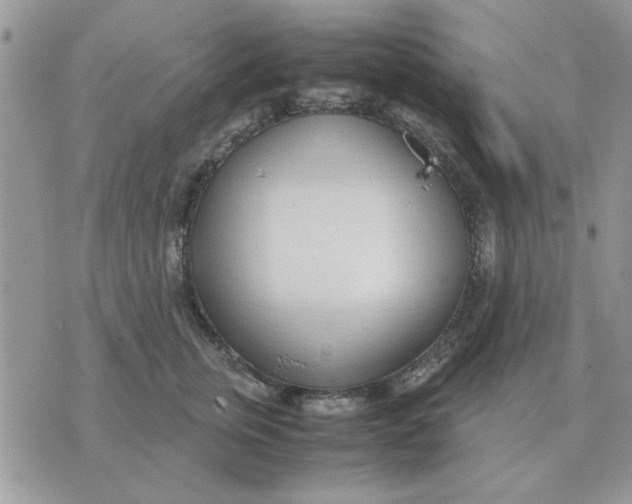 X0000070430759200606302126