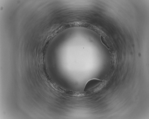 X0000070430760200606302126