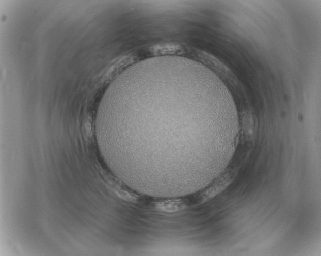 X0000070430761200606302126