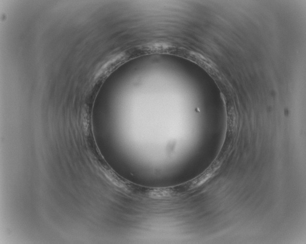 X0000070430762200606302126