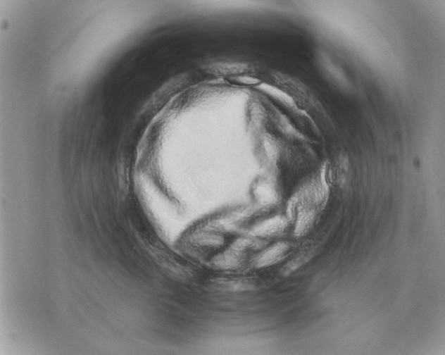 X0000070430763200606302126