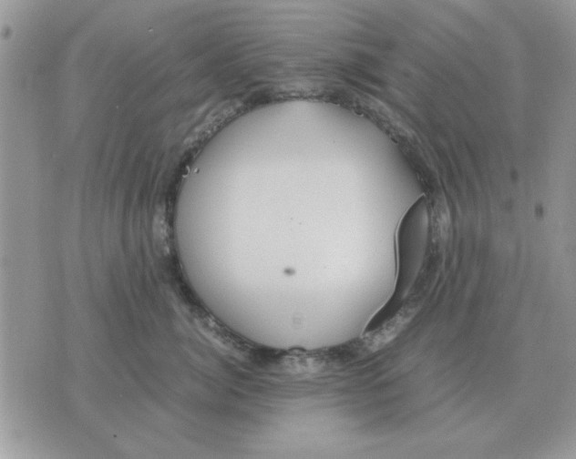 X0000070430764200606302126