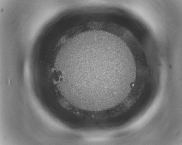 X0000070430765200606302126