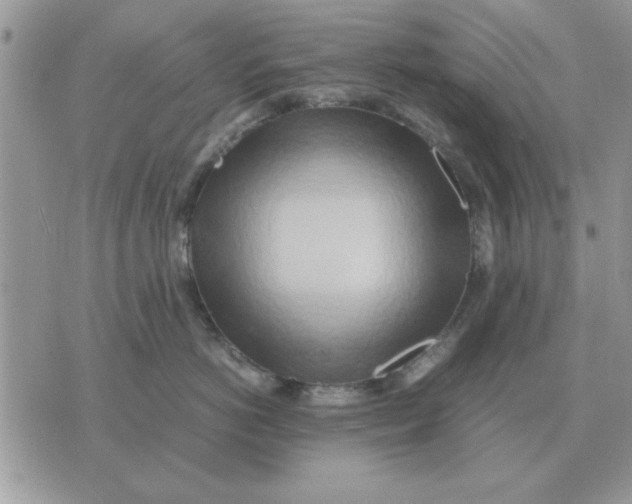 X0000070430766200606302126