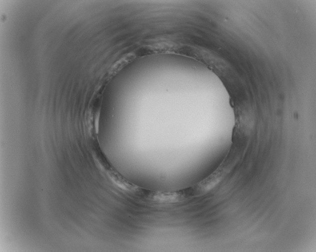 X0000070430767200606302126