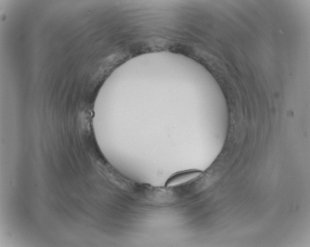 X0000070430768200606302126