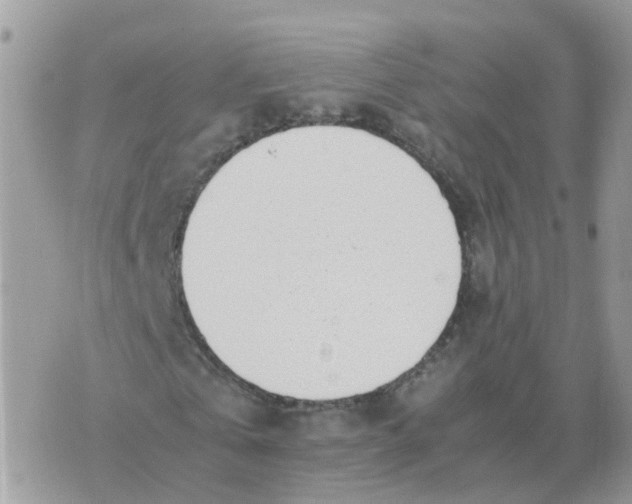 X0000070430769200606302125