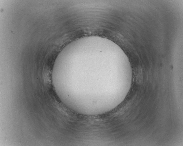 X0000070430770200606302125