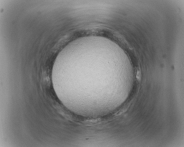 X0000070430771200606302125