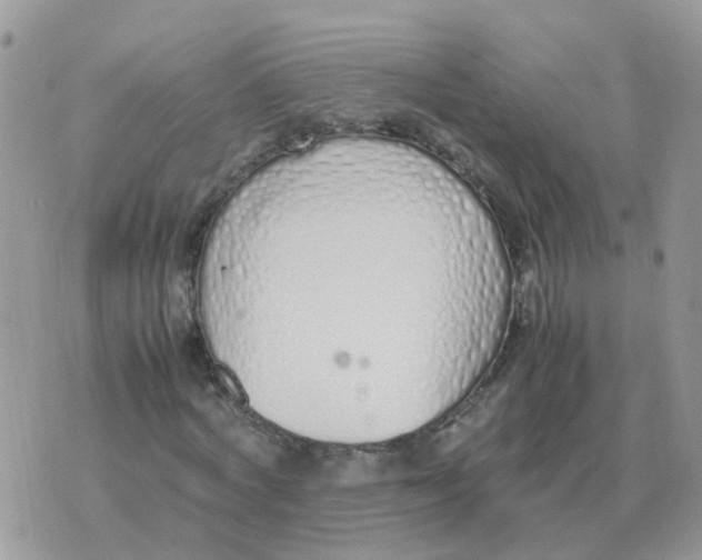 X0000070430772200606302125