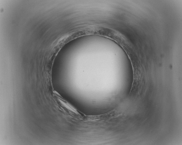 X0000070430773200606302125