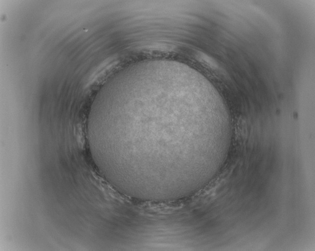 X0000070430774200606302125