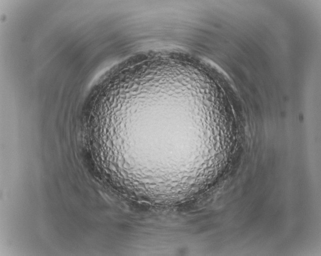 X0000070430775200606302125