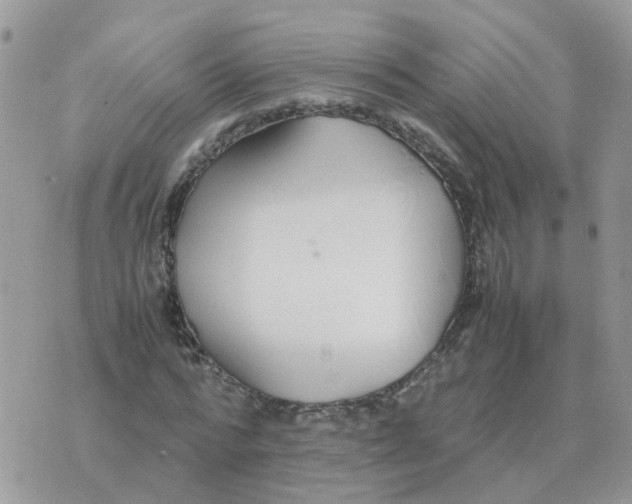 X0000070430776200606302125