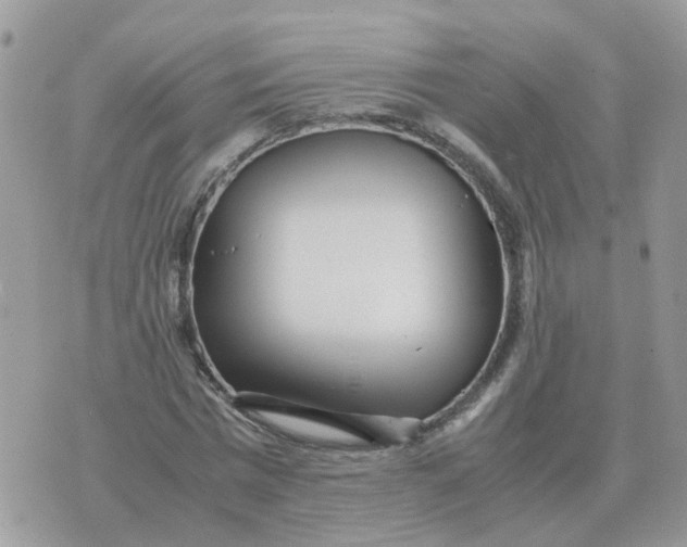 X0000070430777200606302125