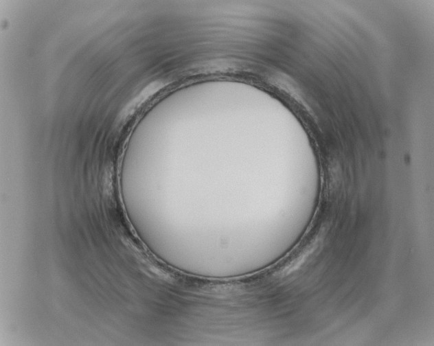 X0000070430778200606302125