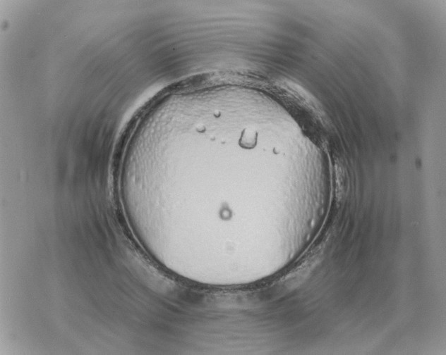 X0000070430780200606302125