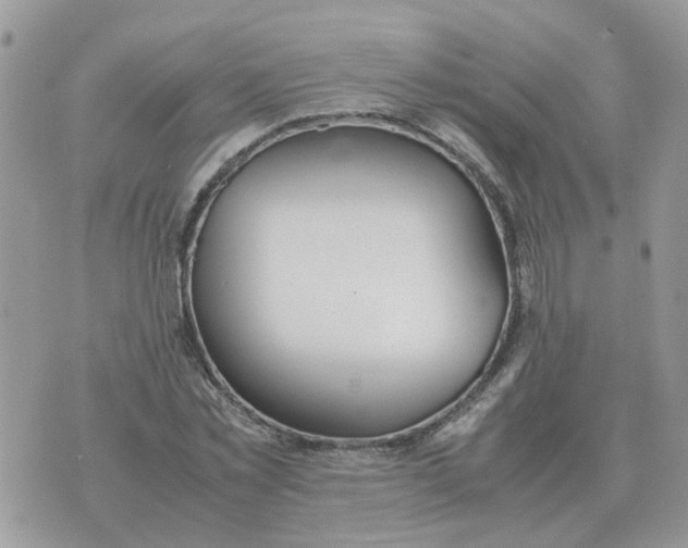 X0000070430781200606302125