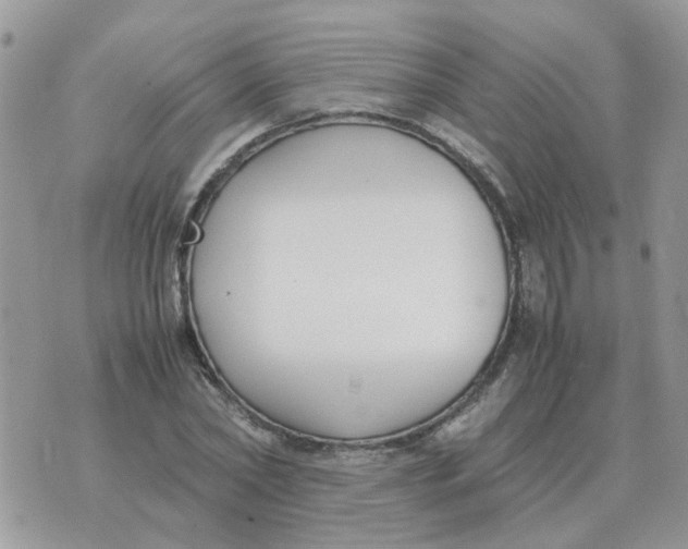 X0000070430782200606302125