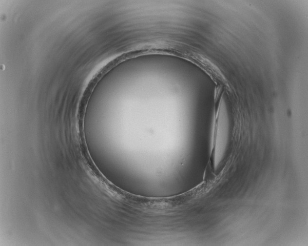 X0000070430784200606302125