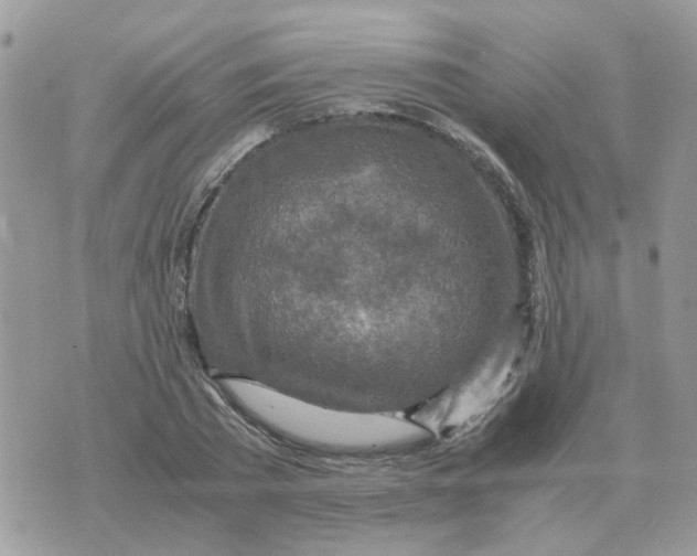 X0000070430785200606302125