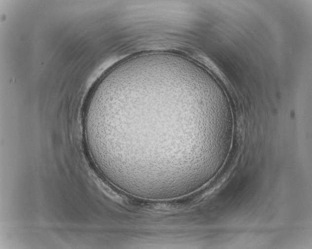 X0000070430787200606302125