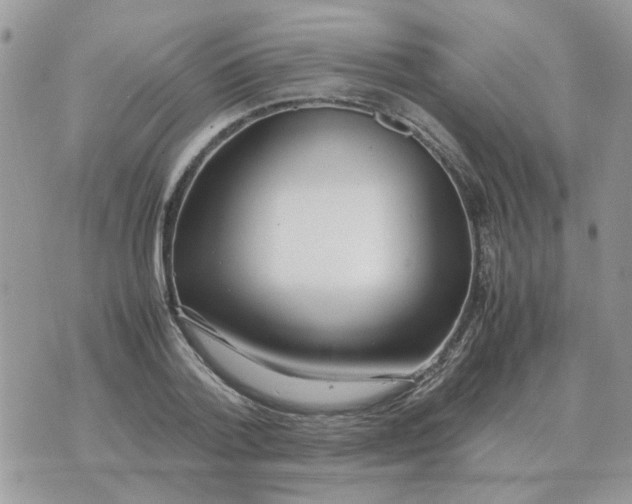 X0000070430788200606302125