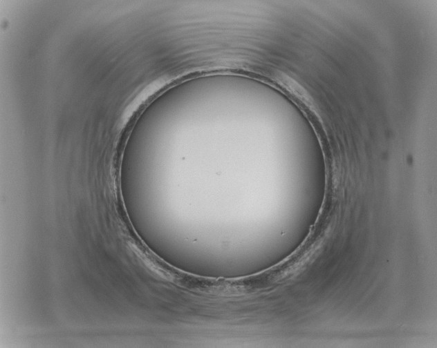 X0000070430789200606302125