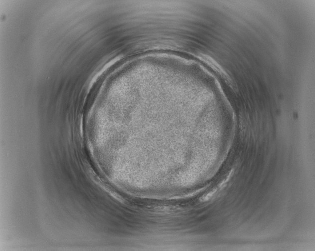 X0000070430790200606302125