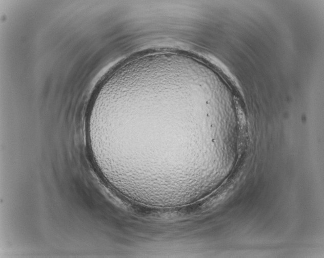 X0000070430791200606302125