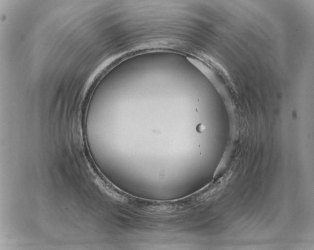 X0000070430792200606302125