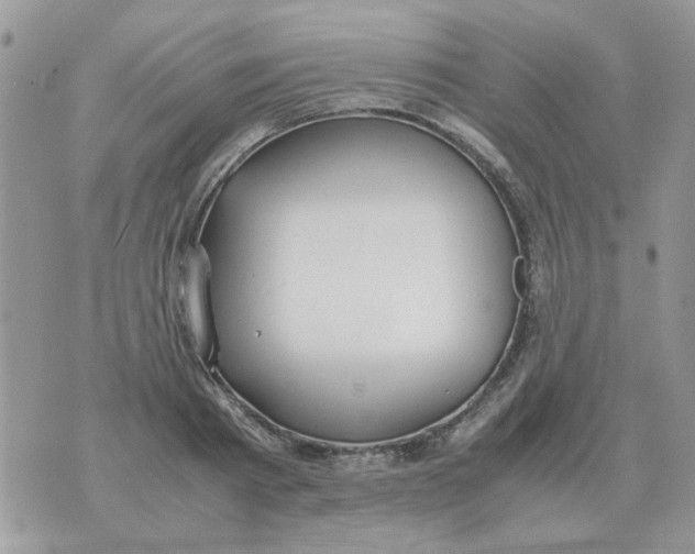 X0000070430793200606302125