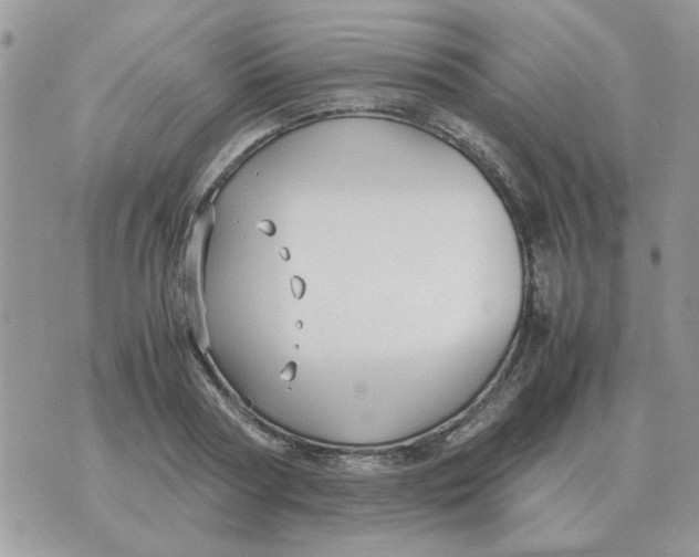 X0000070430794200606302125