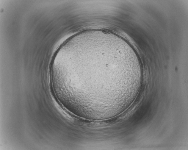 X0000070430795200606302125