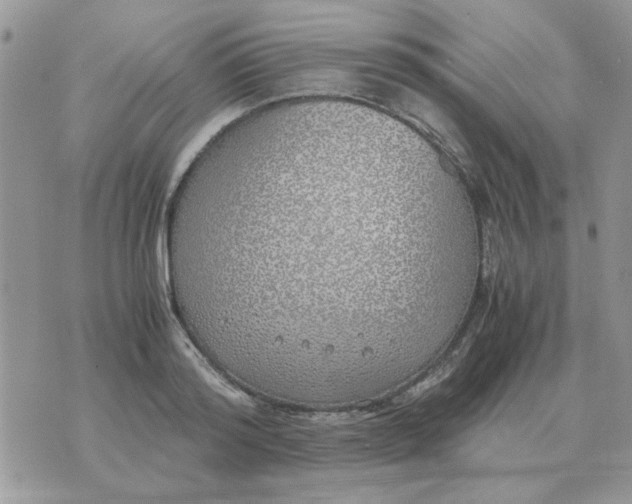 X0000070430796200606302125