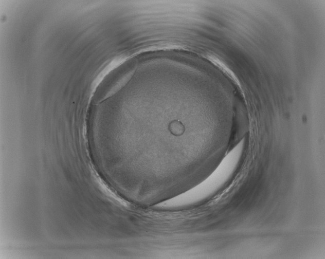 X0000070430797200606302125