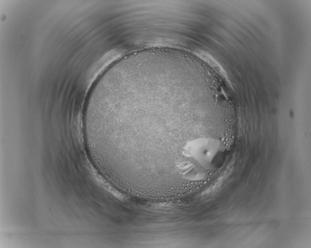 X0000070430798200606302125