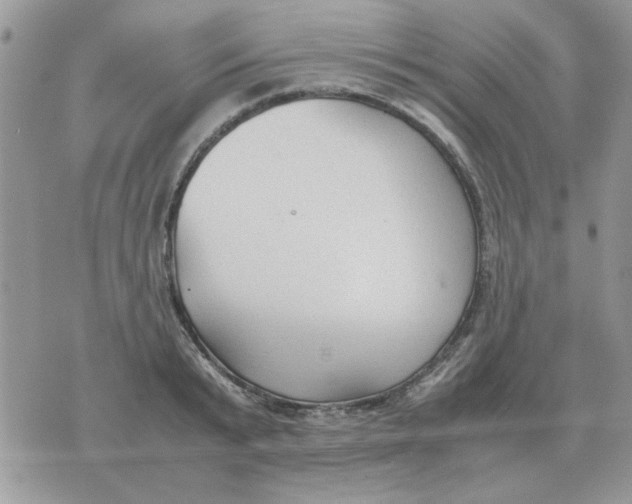 X0000070430799200606302125