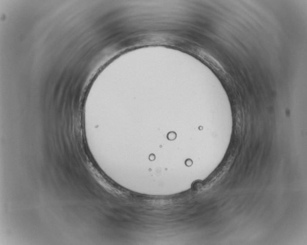 X0000070430800200606302125