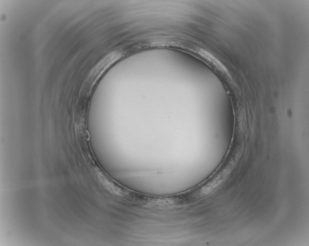 X0000070430801200606302125