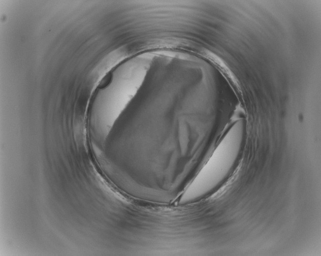 X0000070430802200606302125