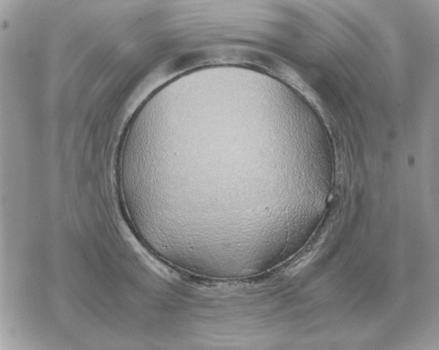 X0000070430803200606302125