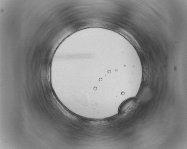 X0000070430804200606302125