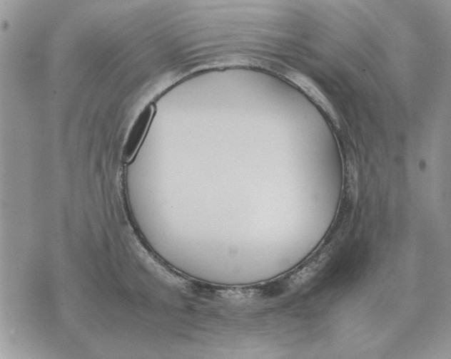 X0000070430805200606302125