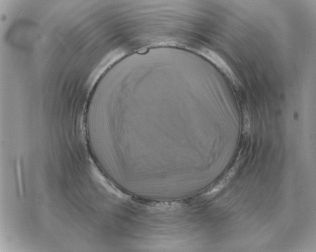 X0000070430806200606302125