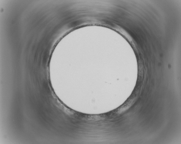 X0000070430807200606302125